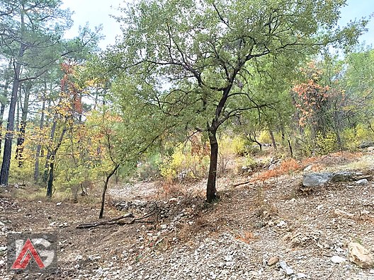 !!! FIRSAT TEKLİF !!! KARACAÖREN MAH. 564m2 ARAZİ UYGUN FİYAT !! - ANTALYA KUMLUCA fotoğraf 6