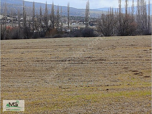 KÜTAHYA ALTINTAŞ PINARCIK KÖYÜNDE FIRSAT ARAZİ - KÜTAHYA ALTINTAŞ fotoğraf 10
