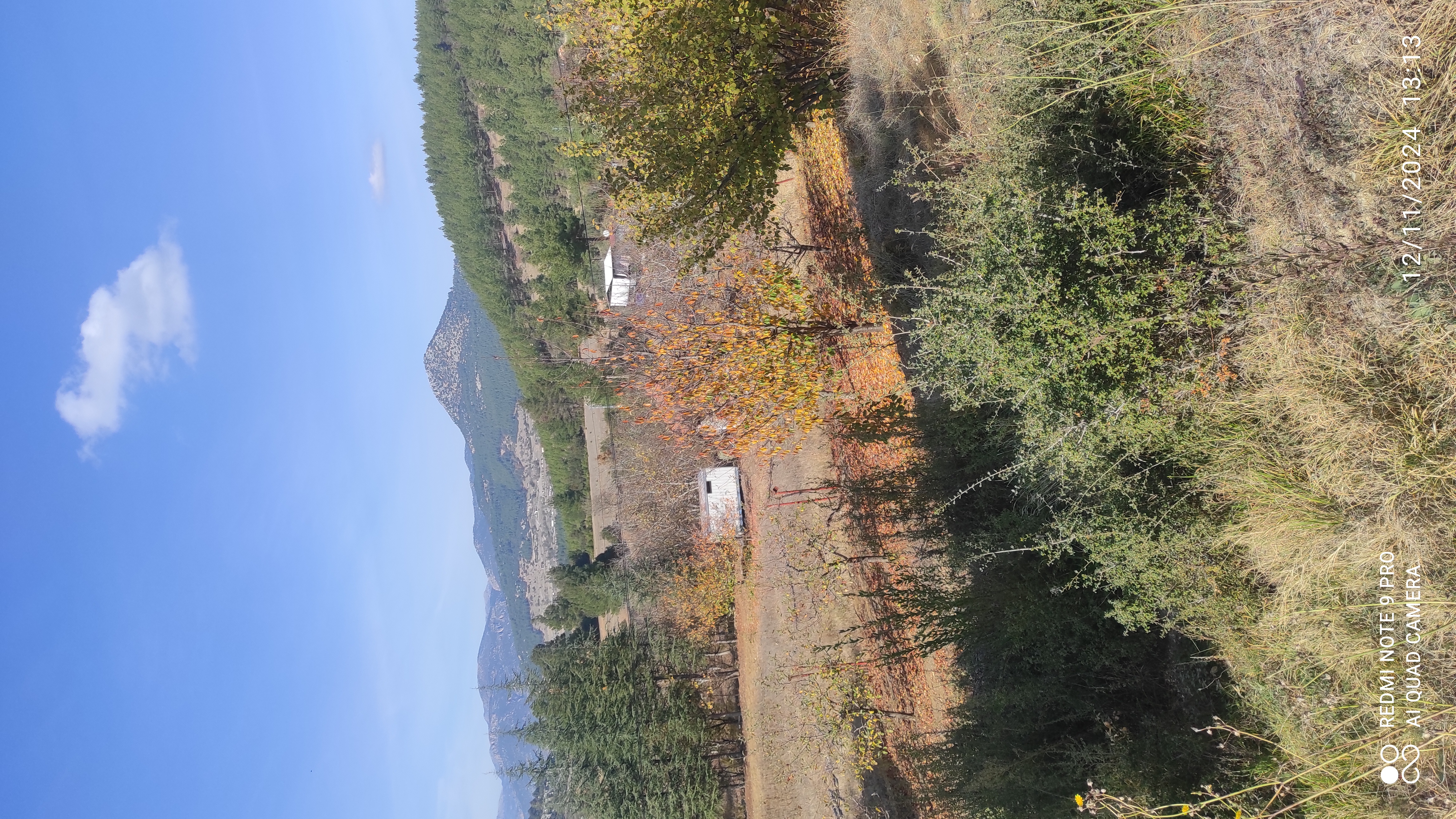 BURDUR BUCAKTA 2742.M2 SUYU VE ELEKTRİĞİ BULUNAN MEYVE BAHÇESİ  - BURDUR BUCAK fotoğraf 12