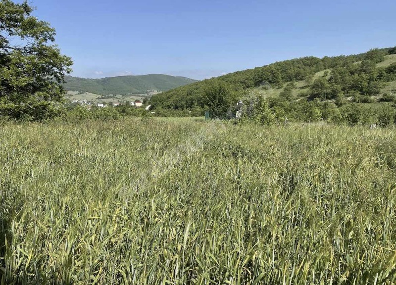Samsun kavak çalbaşı mahallesi - SAMSUN KAVAK fotoğraf 2