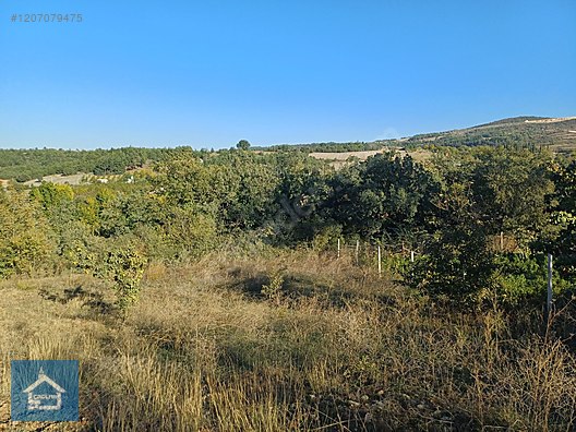ÇAĞLAR'DAN TOPRAKDERE DE 823m2 MÜSTAKİL TARLA YOL+SU VAR - BURSA YENİŞEHİR fotoğraf 15