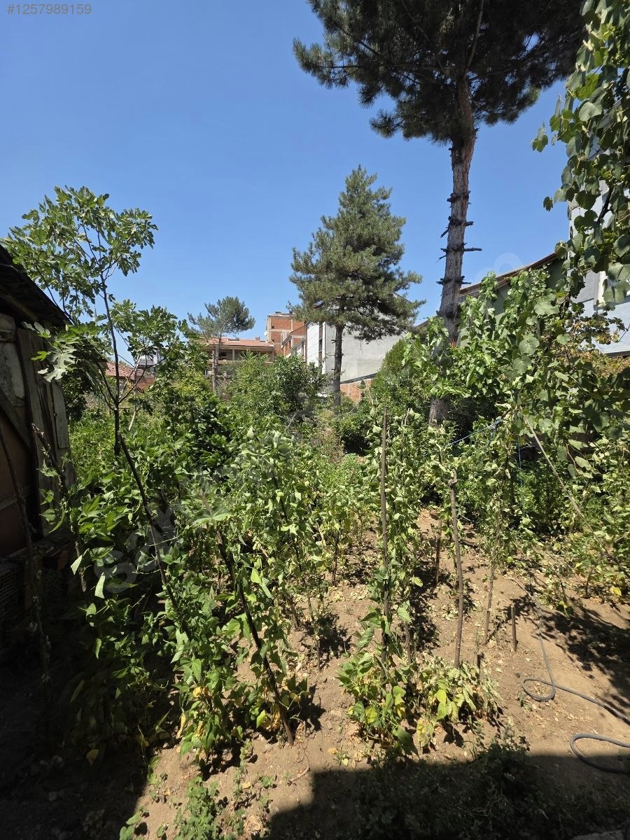 komple satılık bina çift tapulu - BURSA İNEGÖL fotoğraf 2