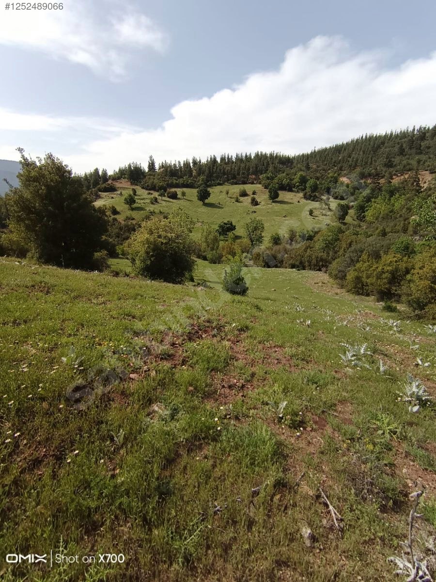 Antalya Konyaaltı Doyran Yayla 1.200 m² Tek Tapu Konyaalti Sahile 30 dk - ANTALYA KONYAALTI fotoğraf 2