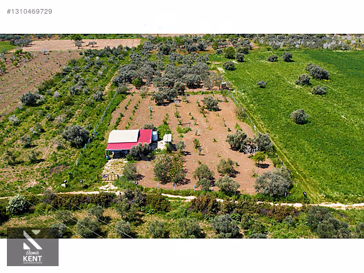 Kemalpaşa Halilbeylide Satılık 3000 m2 Bahçe 40 m2 Ev - İZMİR KEMALPAŞA fotoğraf 17