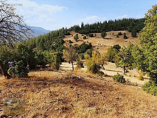 konyaaltı Doyranda 629m tapulu arsa - ANTALYA KONYAALTI fotoğraf 9