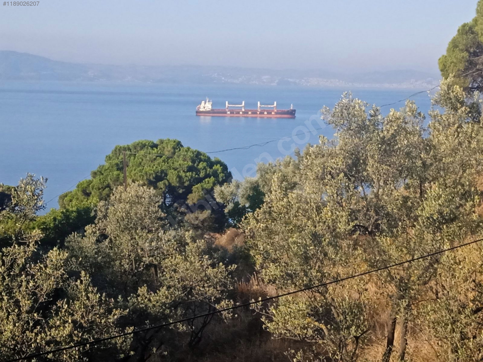 satılık 1.5 dönüm arsa 2 katlı ev doğa içinde deniz manzaralı - BURSA GEMLİK fotoğraf 3