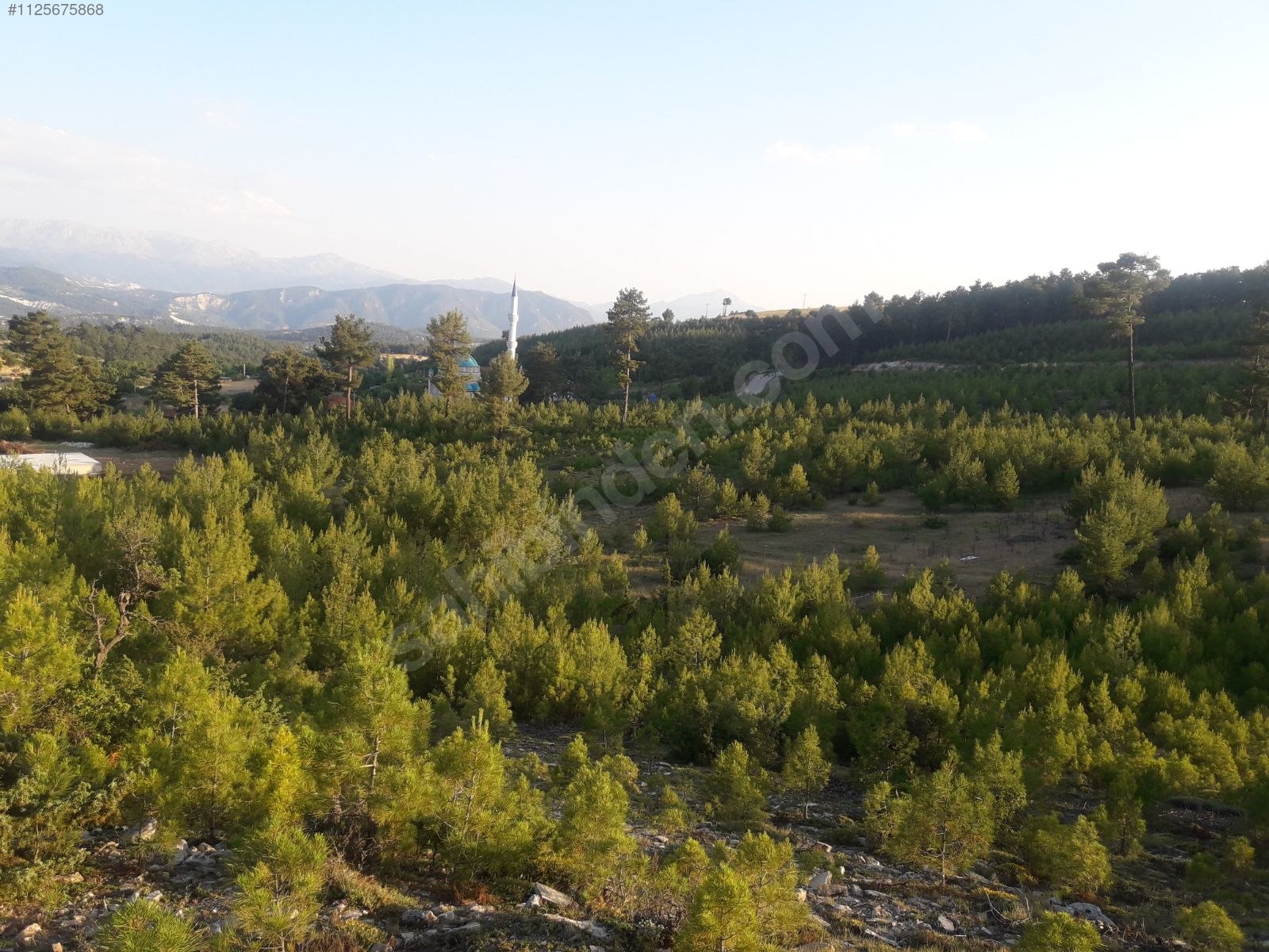 DENİZLİ ÇAMELİ KOLAK KÖYÜNDE  686 M²  ARSA SATILIKTIR - DENİZLİ ÇAMELİ fotoğraf 6
