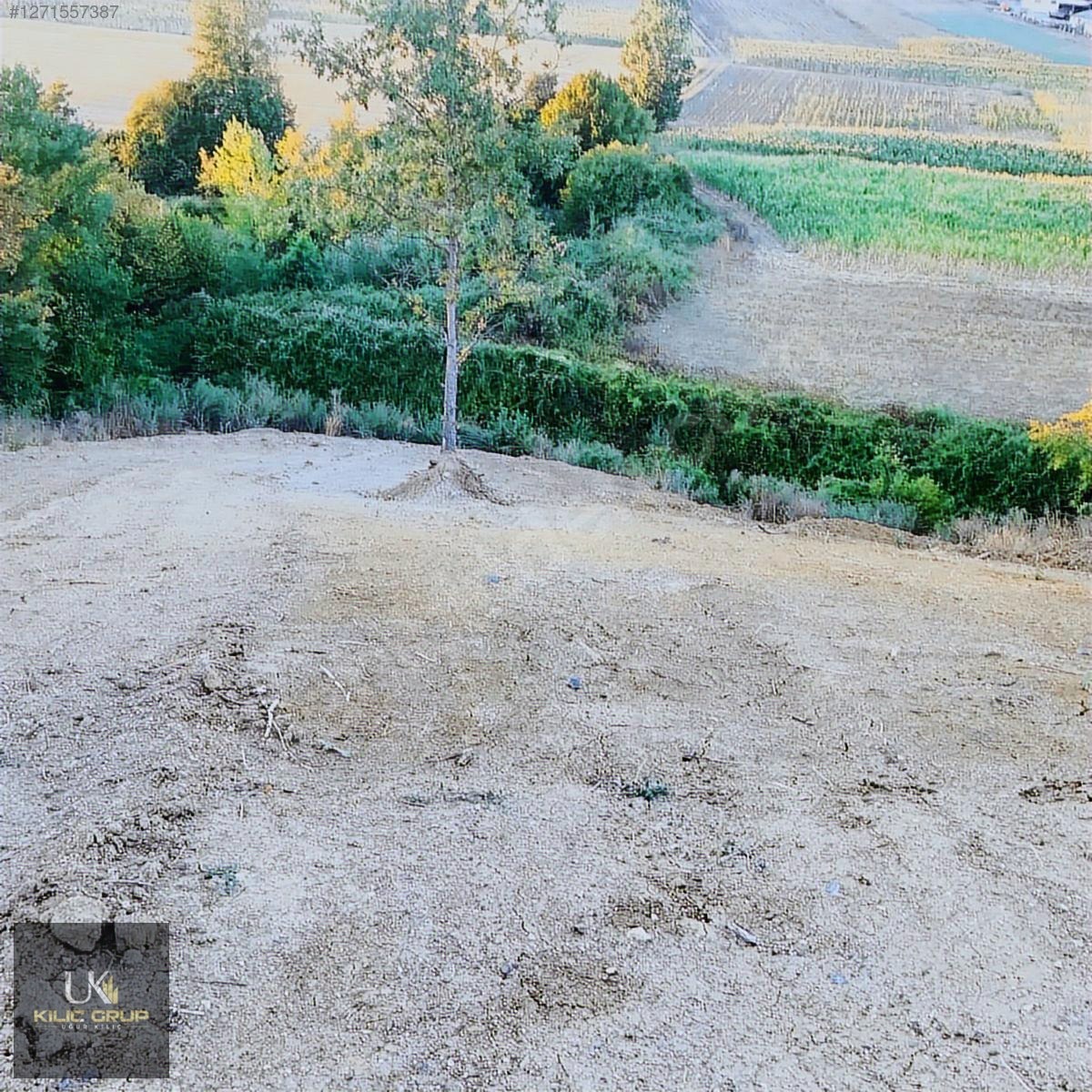 KILIÇ GRUPTAN DERİNCE KAŞIKCILARDA SATILIK ARAZİ - KOCAELİ DERİNCE fotoğraf 4