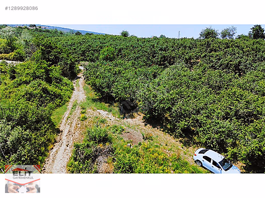 SAKARYA KARASU'DA SATILIK FRSAT KÖY İÇİNDE 635 metre² KUPON ARSA - SAKARYA KARASU fotoğraf 30