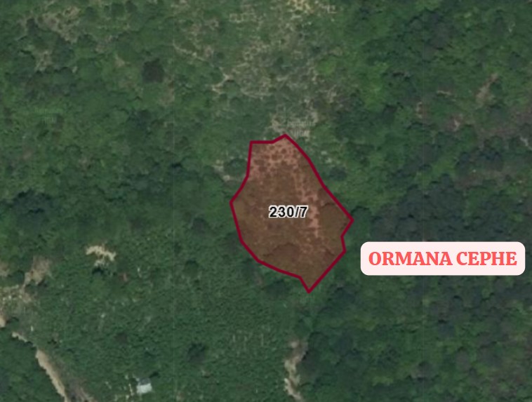 BARTIN ULUS DÖNGELLER KÖYÜNDE 2.412 M² TARLA SATILIKTIR. - BARTIN ULUS fotoğraf 4