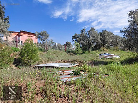 Kemalpaşa Dereköy'de Satılık 4850 m2 Bahçe - İZMİR KEMALPAŞA fotoğraf 27