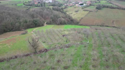Ferizli Hocaoğlu'nda Satılık 2400 m² Fındık Bahçesi - SAKARYA FERİZLİ fotoğraf 2