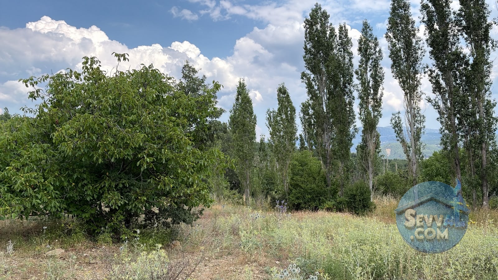 AĞLASUN KIRAÇ MAHALLESİNDE SATILIK FIRSAT ARAZİ - Burdur Ağlasun fotoğraf 22