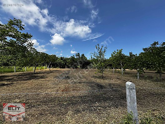 KARASU KUYUMCULUDA SATILIK 463 M2 FIRSAT ARSA - SAKARYA KARASU fotoğraf 17