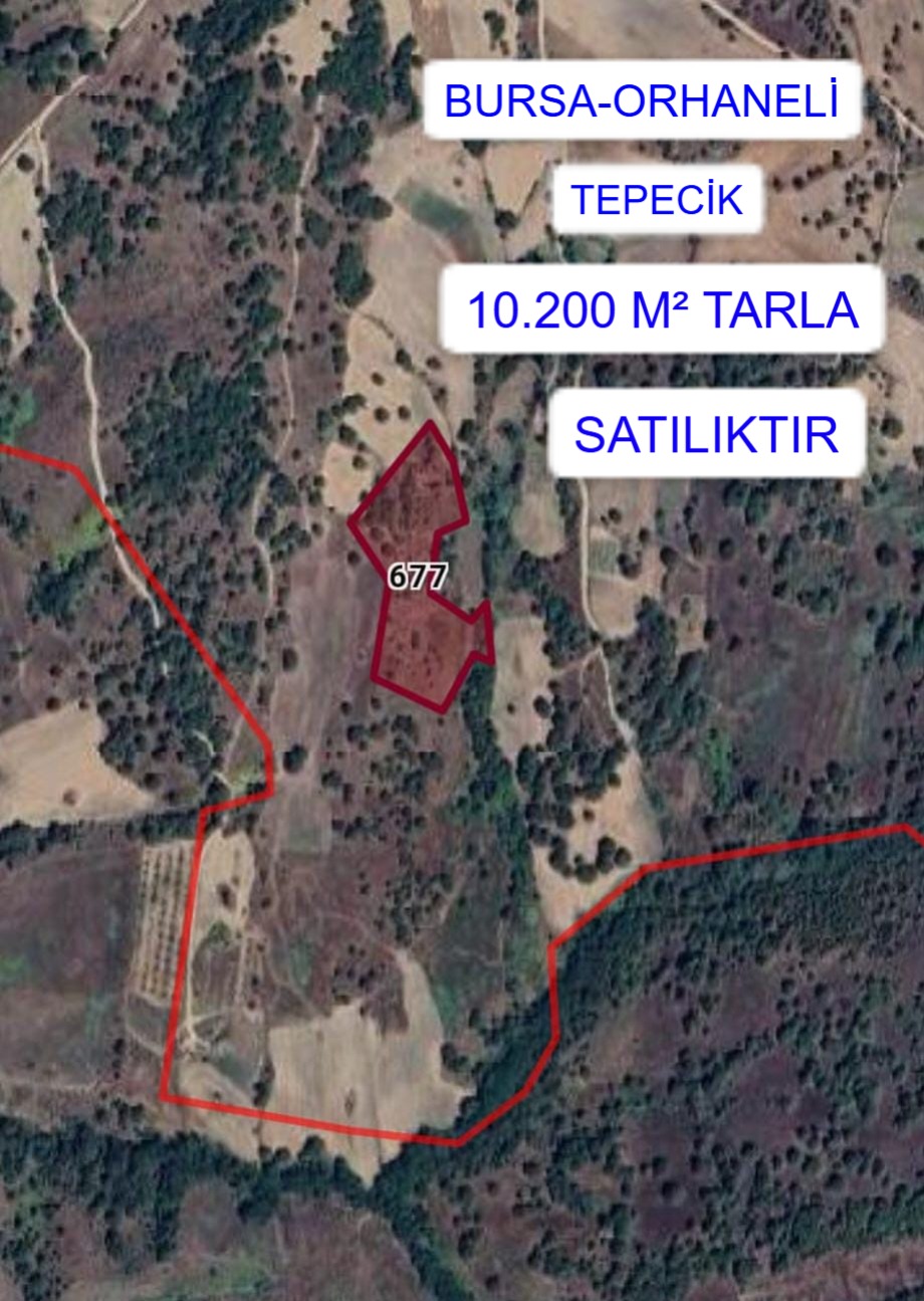 BURSA ORHANELİ TEPECİK MAH. 10.200M² TARLA SATILIKTIR - BURSA ORHANELİ fotoğraf 2
