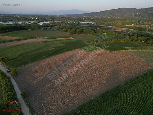 SAKARYA ARİFİYE Y.KİRAZ MAH.İMAR SINIRINA300 MT YATIRIMLIK TARLA - SAKARYA ARİFİYE fotoğraf 11