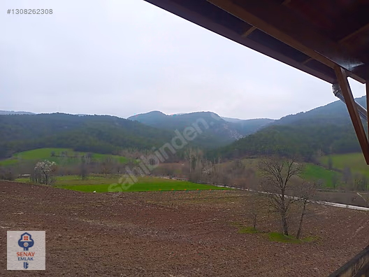 YATIRIMLIK...BİLECİK GÖLPAZARINDA 6780 M2 (ARAÇ TAKASLI) BAHÇE - BİLECİK GÖLPAZARI fotoğraf 20