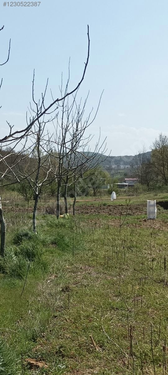 Yenişehir Fethiye de kurulu ceviz ve hobi bahcesi - BURSA YENİŞEHİR fotoğraf 5