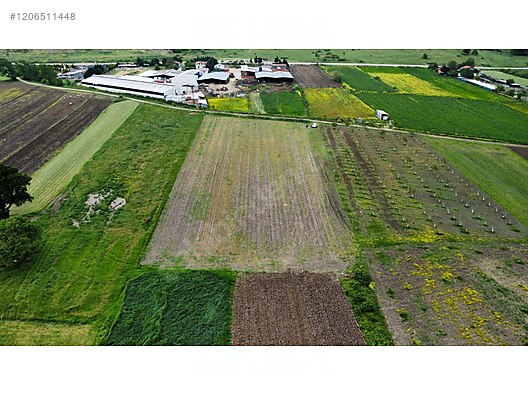 BURSA KARACABEY TOPHİSAR KÖYÜNDE 2.500  M² TARLA SATILIKTIR - BURSA KARACABEY fotoğraf 4