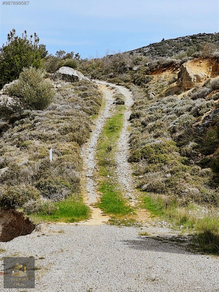 İzmir Kınık Işıklar Mahallesi Manzaralı Zeytinlik Kredi K. Geçer - İZMİR KINIK fotoğraf 23