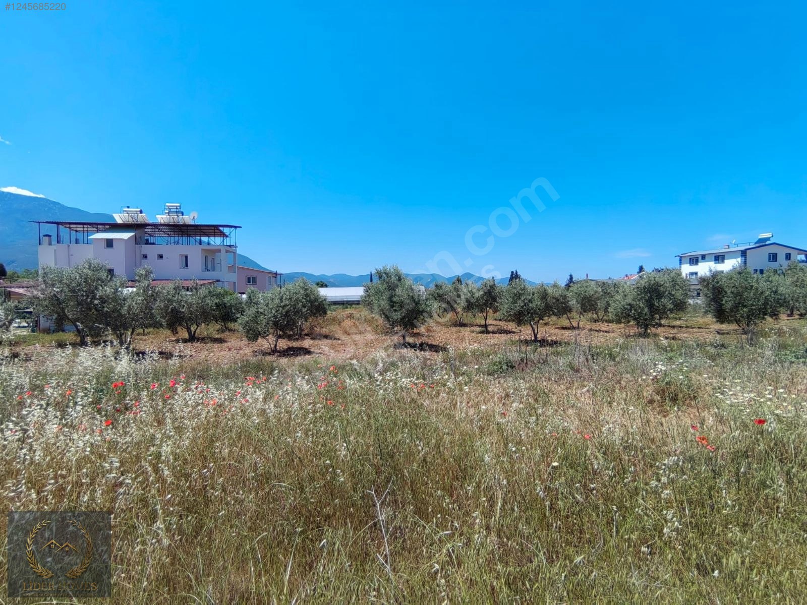 FETHİYE ÇAMKÖY DE %25 İMARLI ARSA 300 M - MUĞLA FETHİYE fotoğraf 8