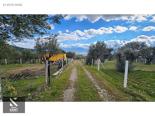 Kemalpaşa Sütçüler Satılık 331 m2 Bahçe - İZMİR KEMALPAŞA fotoğraf 38