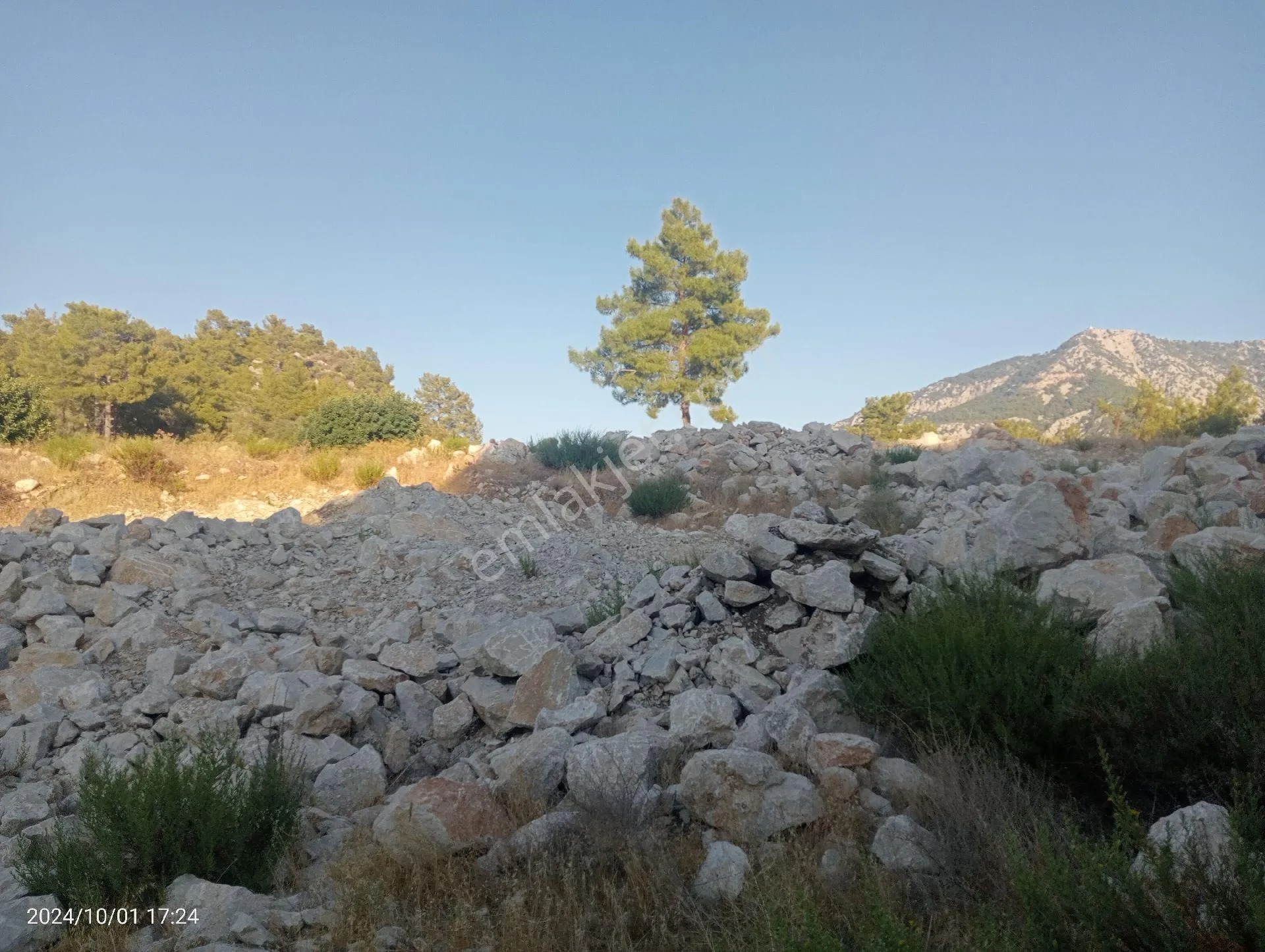 Antalya Kumluca Mavikent'te Satılık Tarla İnceoğlu Emlak - ANTALYA KUMLUCA fotoğraf 24