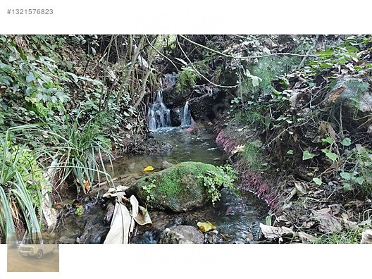 TEK TAPU SU KENARI PORTAKAL BAHÇESİ - ANTALYA AKSU fotoğraf 6