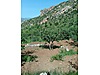 Siirt / Eruh / Fatih Mah. 4.293 M² SATILIK ARSA  - SİİRT ERUH fotoğraf 5