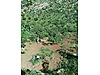 Siirt / Eruh / Fatih Mah. 4.293 M² SATILIK ARSA  - SİİRT ERUH fotoğraf 2