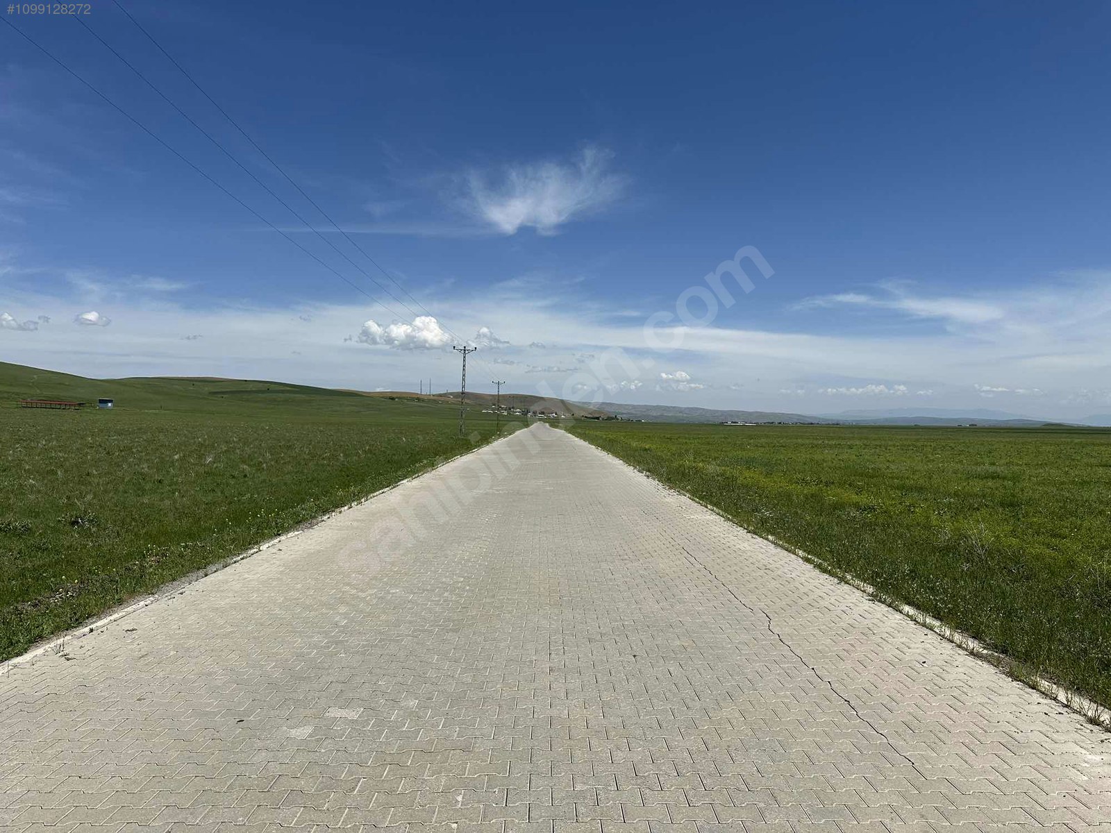 ASFALTA CEPHE 10 DÖNÜM ARAZİ Muş / Merkez / Alican Köyü - MUŞ MERKEZ fotoğraf 4