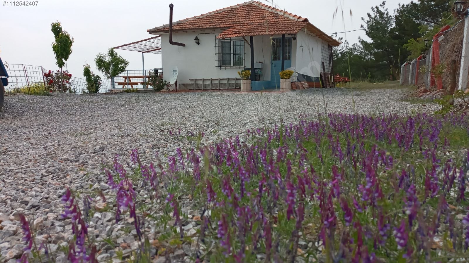 Tarla vasfında köy içi 9.133m2.tek tapulu 1+1 ev. tamamı telcit - MANİSA AKHİSAR fotoğraf 9