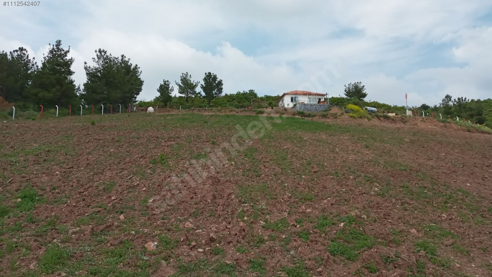 Tarla vasfında köy içi 9.133m2.tek tapulu 1+1 ev. tamamı telcit - MANİSA AKHİSAR fotoğraf 8