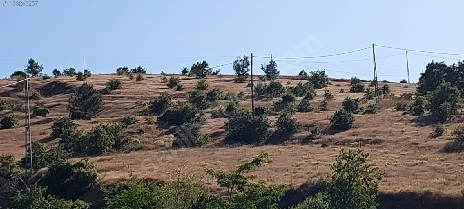 ÇAM ORMANI, TEMİZ OKSİJEN, EŞSİZ MANZARA, SESSİZLİK VE HUZUR 1856M² - ELAZIĞ MERKEZ fotoğraf 4