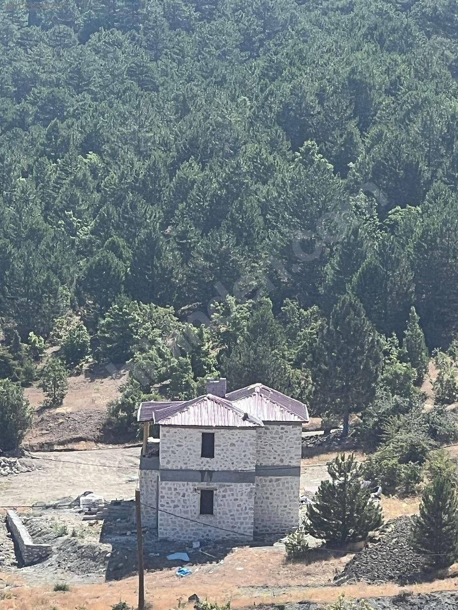 ÇAM ORMANI, TEMİZ OKSİJEN, EŞSİZ MANZARA, SESSİZLİK VE HUZUR 1856M² - ELAZIĞ MERKEZ fotoğraf 3