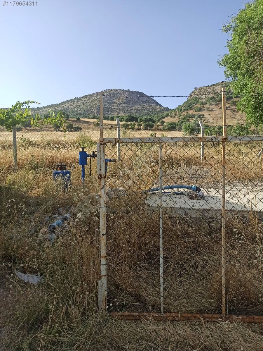 Diyarbakır / Hani / Serenköy Mh. SATILIK CEVİZ BAHÇESİ  15.000m²  - DİYARBAKIR HANİ fotoğraf 7