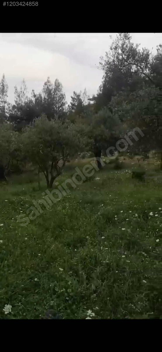 2 parsel toplam 5 dönüm 5.000 M² Hatay / Altınözü / Kozkalesi Mh. - HATAY ALTINÖZÜ fotoğraf 7
