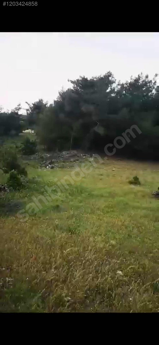 2 parsel toplam 5 dönüm 5.000 M² Hatay / Altınözü / Kozkalesi Mh. - HATAY ALTINÖZÜ fotoğraf 6