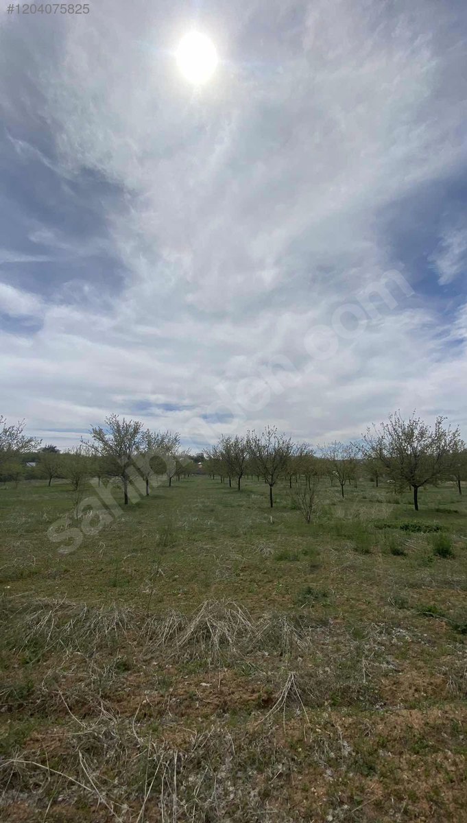 Sütlüce Köyü Sahibinden Satılık Yatırımlık Ekili Bahçe,Tarla  14.030M²  - ELAZIĞ MERKEZ fotoğraf 2