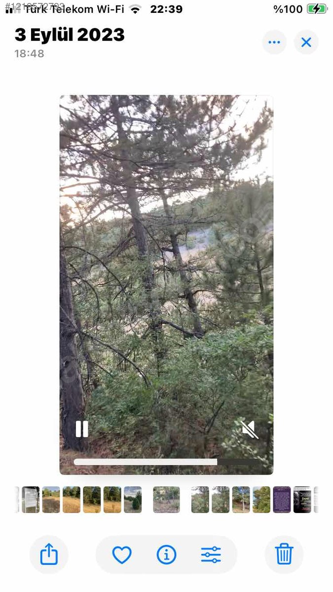 YATIRIMLIK ÇAMLI TARLA   23.245m² satılık arsa  Kütahya / Domaniç / Sarıot Köyü - KÜTAHYA DOMANİÇ fotoğraf 10