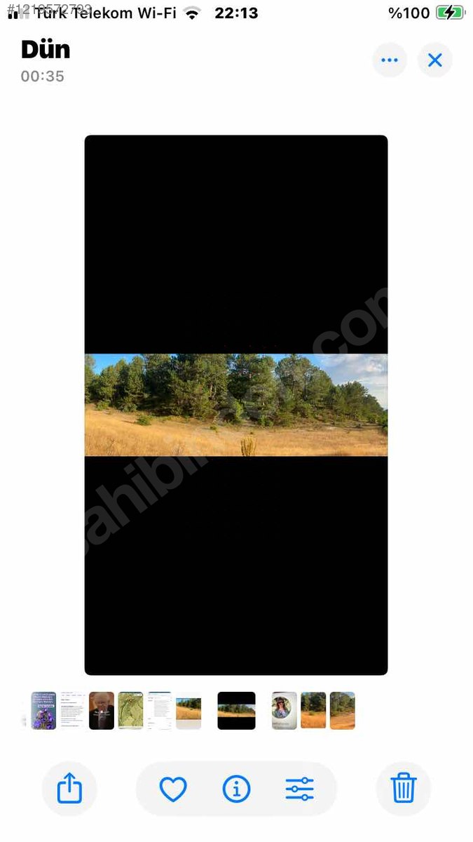 YATIRIMLIK ÇAMLI TARLA   23.245m² satılık arsa  Kütahya / Domaniç / Sarıot Köyü - KÜTAHYA DOMANİÇ fotoğraf 12