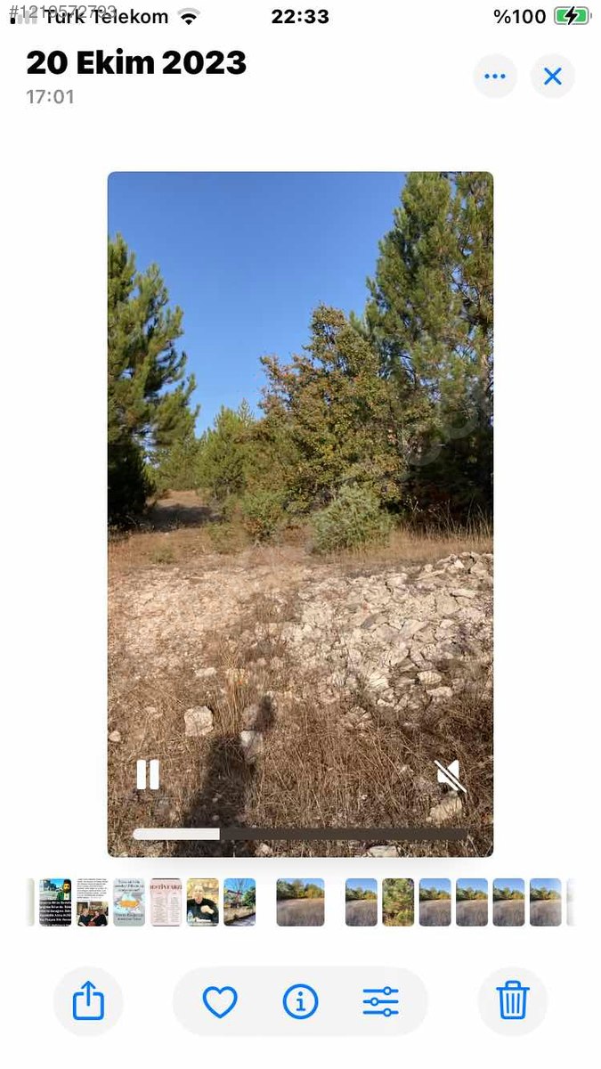 YATIRIMLIK ÇAMLI TARLA   23.245m² satılık arsa  Kütahya / Domaniç / Sarıot Köyü - KÜTAHYA DOMANİÇ fotoğraf 8