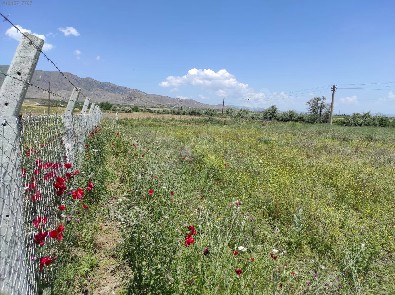 YURTBAŞI HİPODROM KARŞISI YAPI İZİNLİ -ASFALT YOL- 2139 m² ARAZİ - ELAZIĞ MERKEZ fotoğraf 8