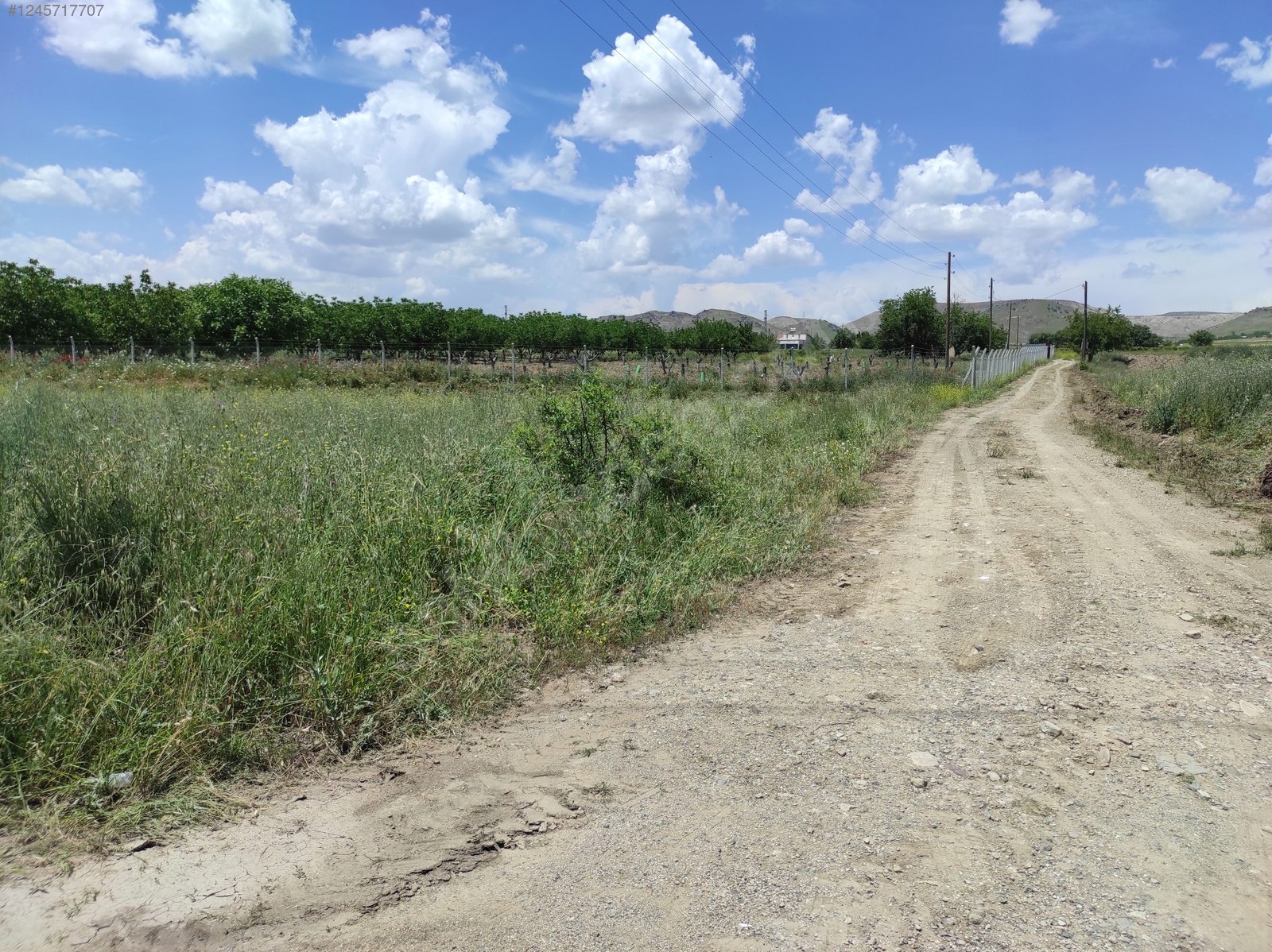 YURTBAŞI HİPODROM KARŞISI YAPI İZİNLİ -ASFALT YOL- 2139 m² ARAZİ - ELAZIĞ MERKEZ fotoğraf 2