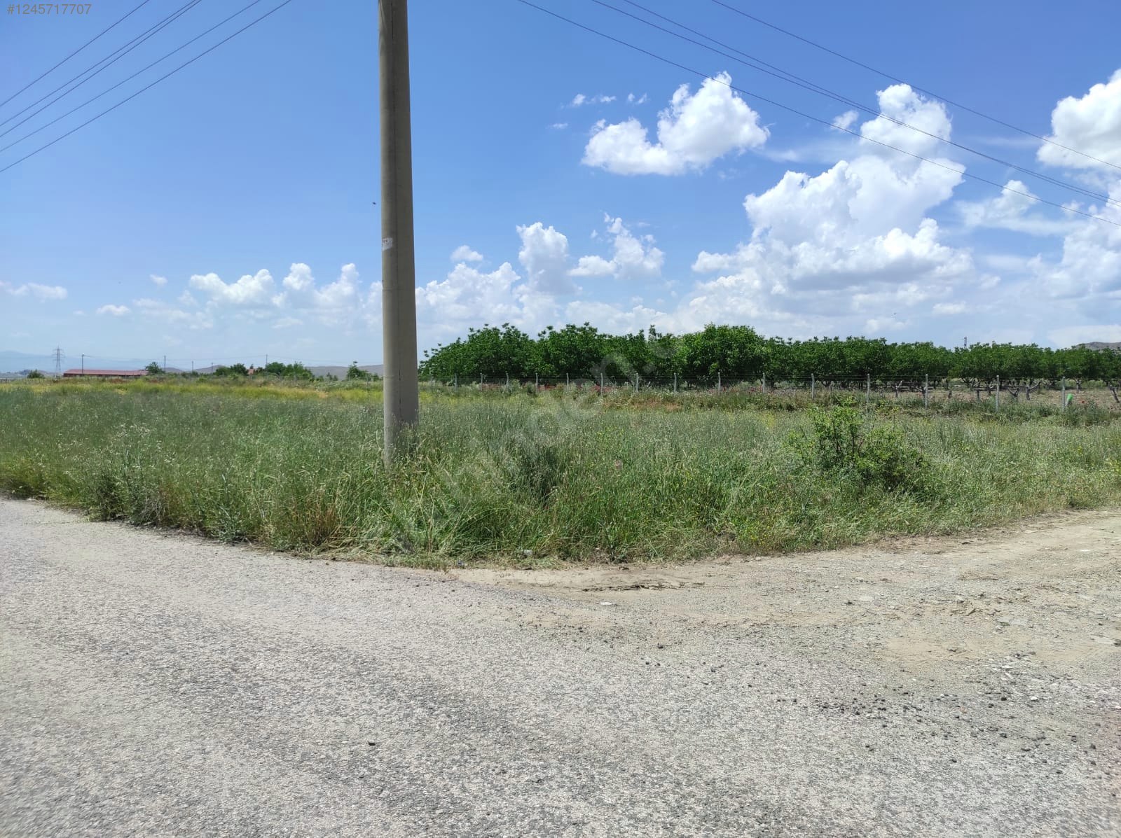 YURTBAŞI HİPODROM KARŞISI YAPI İZİNLİ -ASFALT YOL- 2139 m² ARAZİ - ELAZIĞ MERKEZ fotoğraf 4