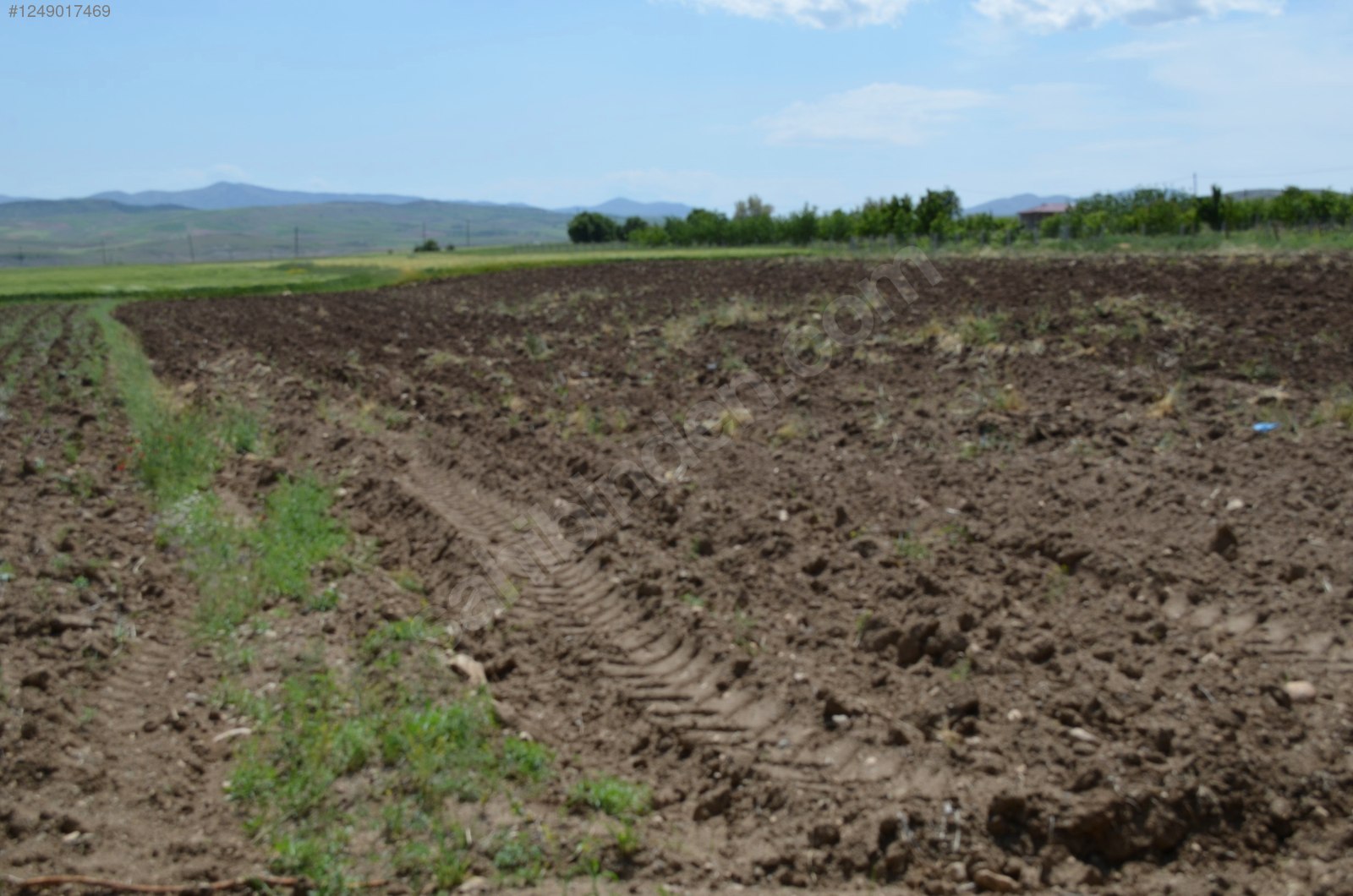 YOLA CEPHELİ, KÖY MERKEZİNE, SU ve ELEKTRİĞE YAKIN TARIM ARAZİSİ - ELAZIĞ MERKEZ fotoğraf 12