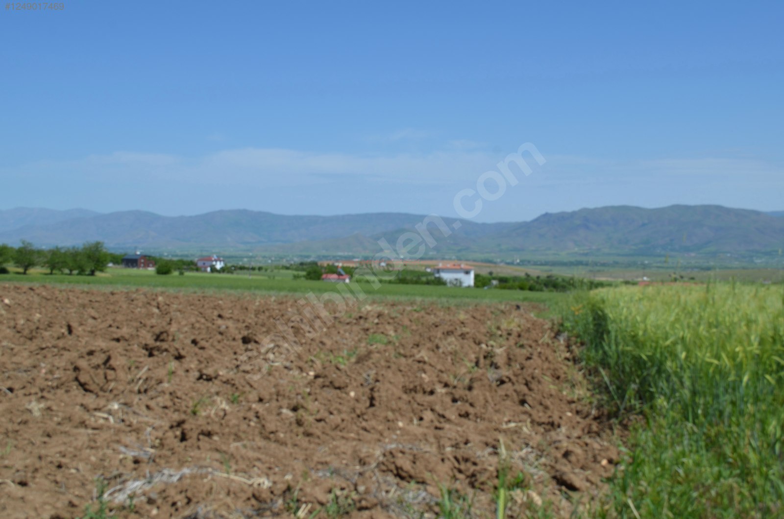 YOLA CEPHELİ, KÖY MERKEZİNE, SU ve ELEKTRİĞE YAKIN TARIM ARAZİSİ - ELAZIĞ MERKEZ fotoğraf 11