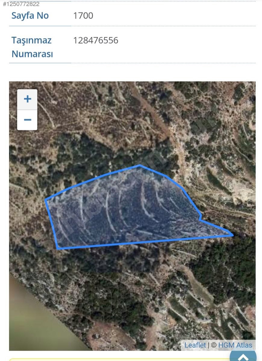 Hatay / Yayladağı / Aydınbahçe Mh.  5.000 M² SATILIK ARSA  - HATAY YAYLADAĞI fotoğraf 2