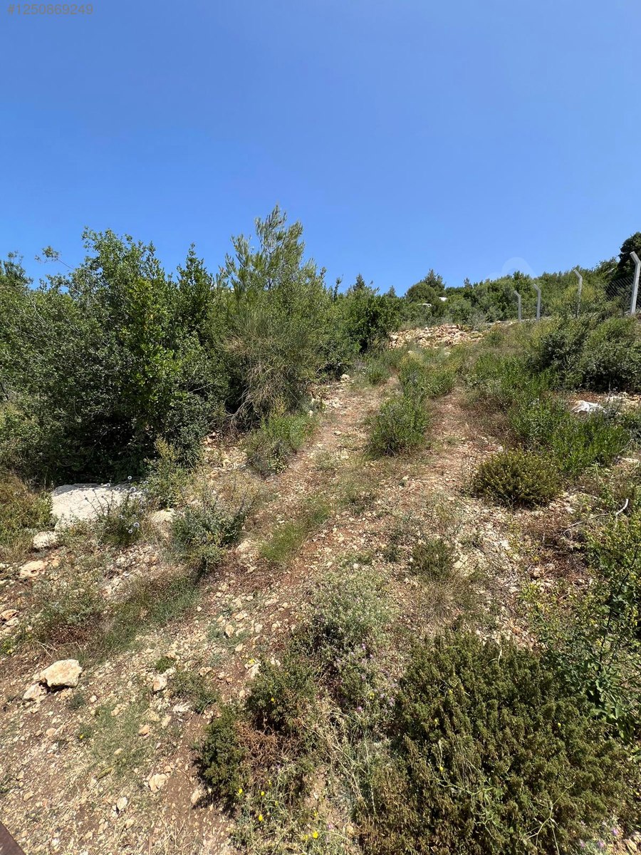 Hatay  Samandağ  Yaylıcada 514m² İmarlı, İfrazlı Arsa Nehir ve Doğa Manzaralı - HATAY SAMANDAĞ fotoğraf 9