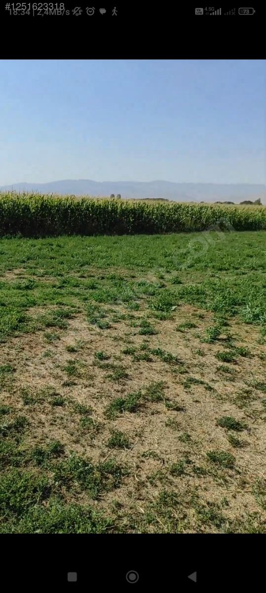 SATILIK ARSA Melle Enverin Tarlası 7.000 M² Muş / Merkez / Özdilek Köyü - MUŞ MERKEZ fotoğraf 5